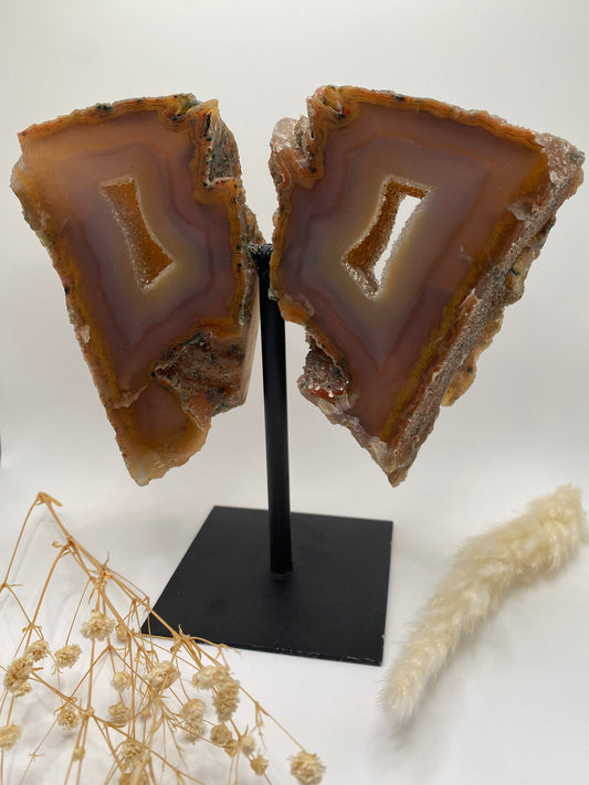 Achat Schmetterling auf Metallständer