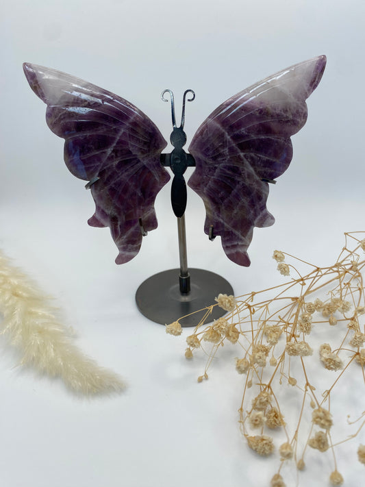 Schmetterlingsflügel Amethyst